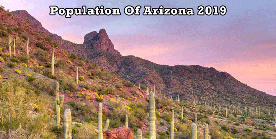 population of Arizona 2019