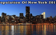 population of New York 2019