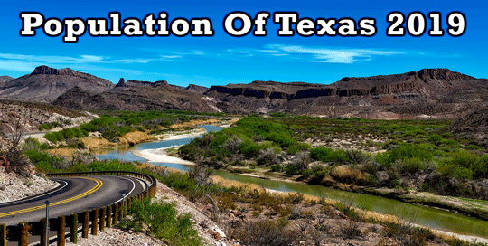 population of Texas 2019