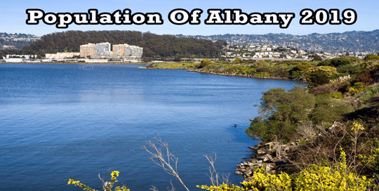 population of Albany 2019