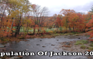 population of Jackson 2019